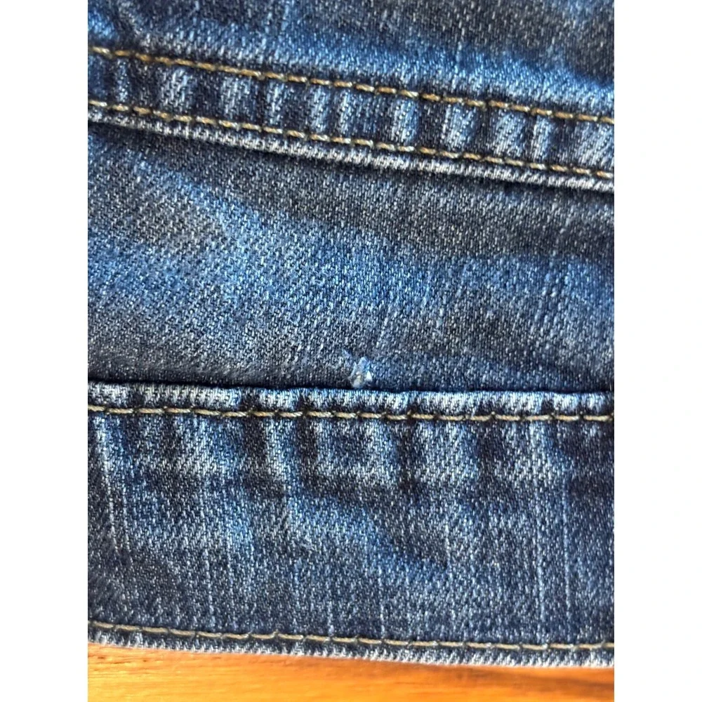 Levis levis 511